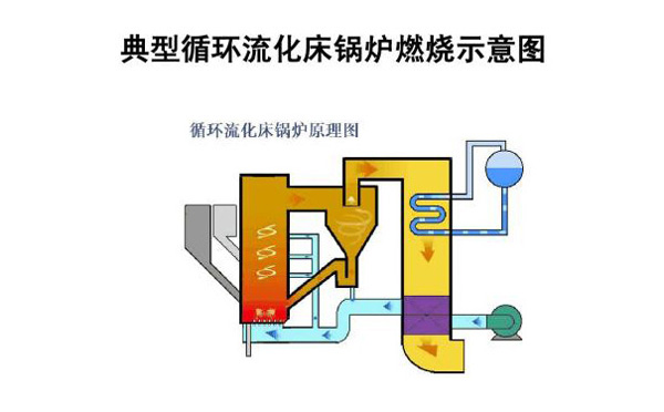 循環(huán)流化床鍋爐燃燒示意圖